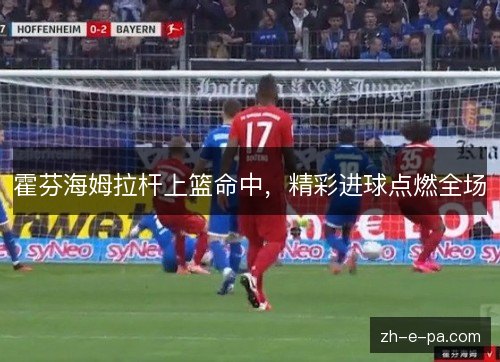 霍芬海姆拉杆上篮命中,精彩进球点燃全场 霍芬海姆拉杆上篮命中,精彩进球点燃全场